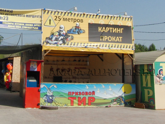 Витязево картинг