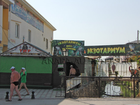 Витязево экзотариум