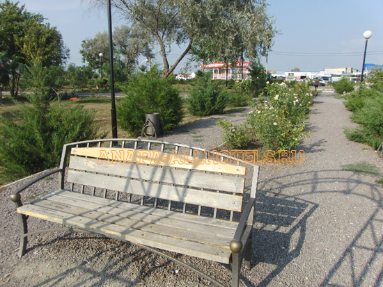 Анапа парк Аллея роз