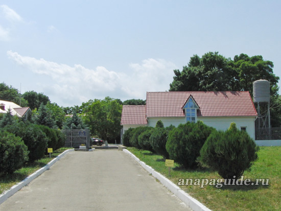 Сукко пансионат Ивушка, дата фото: 13.06.2011 г. Сукко пансионат Ивушка, дата фото: 13.06.2011 г.